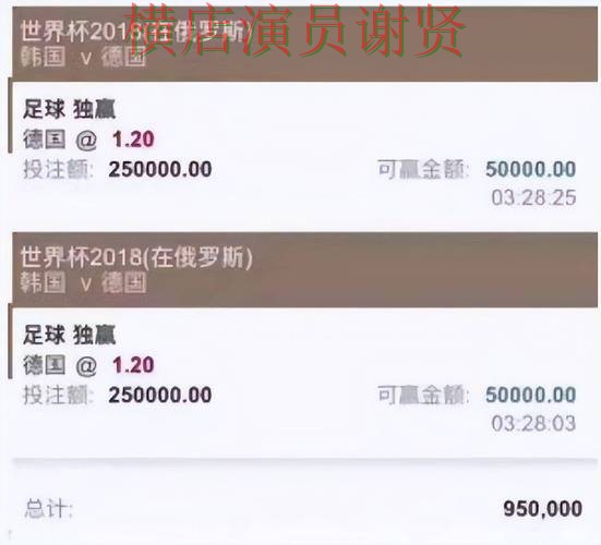 新手必看：世界杯竞猜网站平台排行详解 + 世界杯官方信息